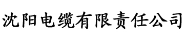 www.色小姐com电缆厂logo